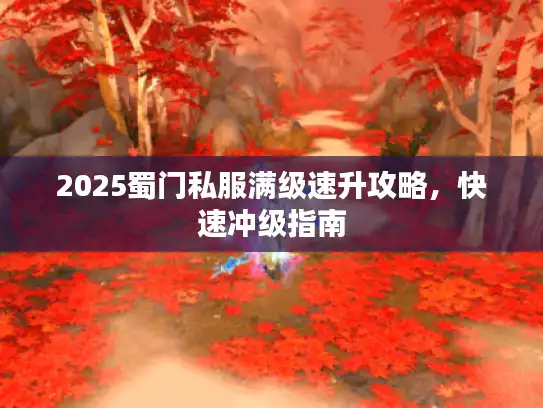 2025蜀门私服满级速升攻略，快速冲级指南