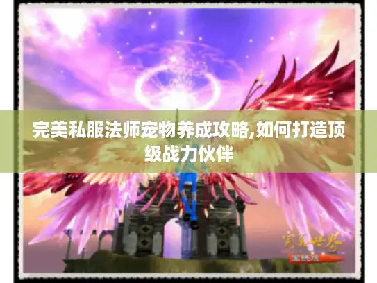 完美私服法师宠物养成攻略,如何打造顶级战力伙伴 完美私服法师宠物养成攻略,如何打造顶级战力伙伴