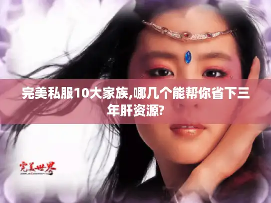 完美私服10大家族,哪几个能帮你省下三年肝资源?