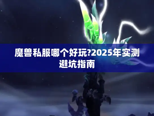 魔兽私服哪个好玩?2025年实测避坑指南