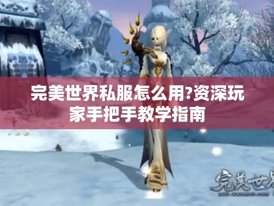 完美世界私服怎么用?资深玩家手把手教学指南