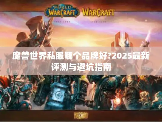 魔兽世界私服哪个品牌好?2025最新评测与避坑指南