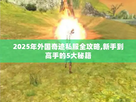 2025年外国奇迹私服全攻略,新手到高手的5大秘籍