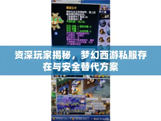 资深玩家揭秘，梦幻西游私服存在与安全替代方案