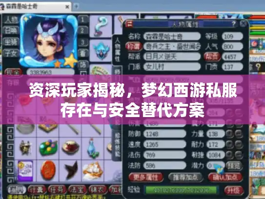 资深玩家揭秘，梦幻西游私服存在与安全替代方案