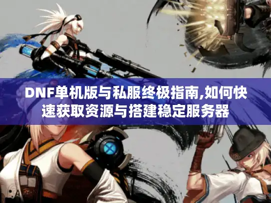 DNF单机版与私服终极指南,如何快速获取资源与搭建稳定服务器 DNF单机版与私服终极指南,如何快速获取资源与搭建稳定服务器