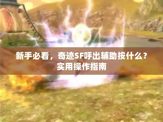 新手必看，奇迹SF呼出辅助按什么？实用操作指南