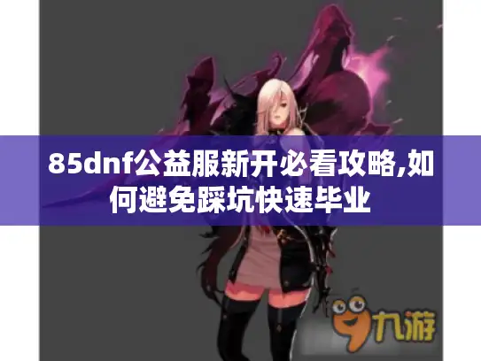 85dnf公益服新开必看攻略,如何避免踩坑快速毕业