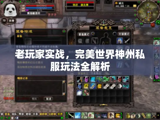 老玩家实战,完美世界神州私服玩法全解析 老玩家实战,完美世界神州私服玩法全解析