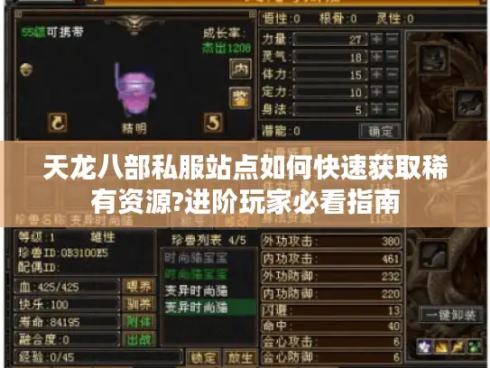 天龙八部私服站点如何快速获取稀有资源?进阶玩家必看指南