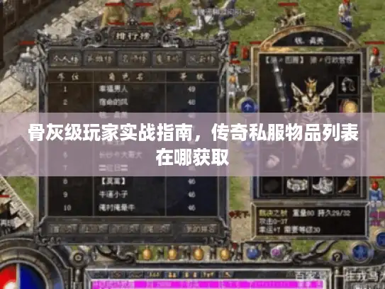 骨灰级玩家实战指南，传奇私服物品列表在哪获取