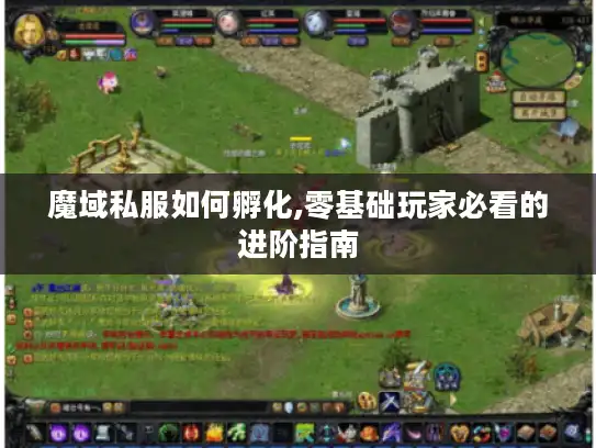 魔域私服如何孵化,零基础玩家必看的进阶指南 魔域私服如何孵化,零基础玩家必看的进阶指南