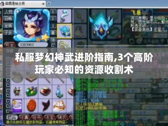私服梦幻神武进阶指南,3个高阶玩家必知的资源收割术