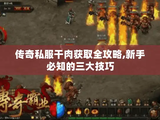 传奇私服干肉获取全攻略,新手必知的三大技巧 传奇私服干肉获取全攻略,新手必知的三大技巧