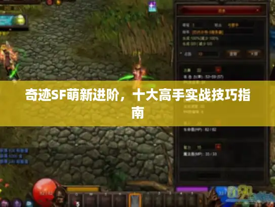 奇迹SF萌新进阶，十大高手实战技巧指南