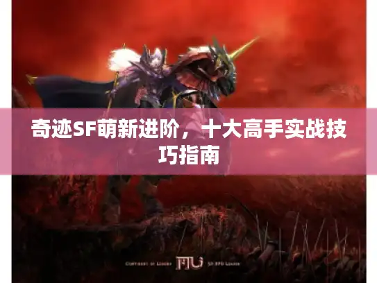 奇迹SF萌新进阶，十大高手实战技巧指南
