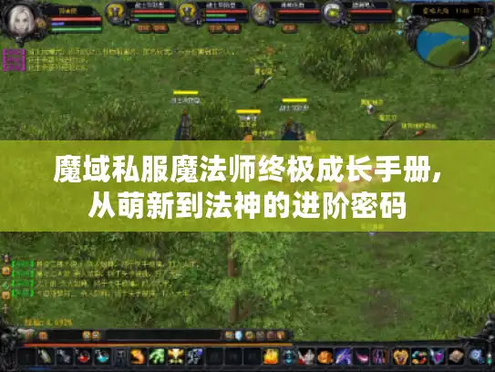 魔域私服魔法师终极成长手册,从萌新到法神的进阶密码