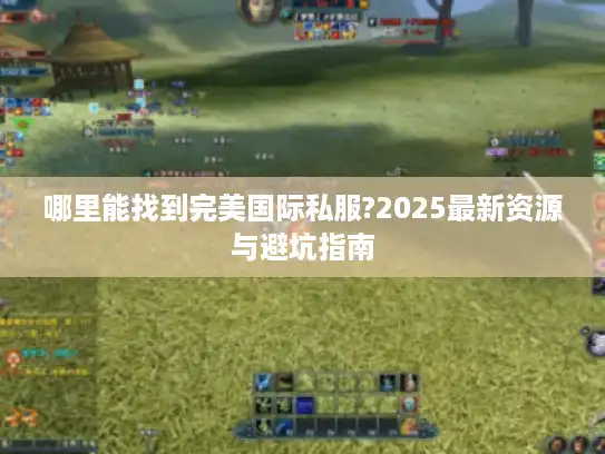 哪里能找到完美国际私服?2025最新资源与避坑指南