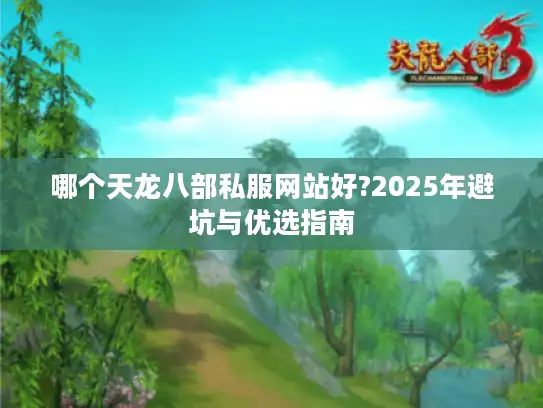 哪个天龙八部私服网站好?2025年避坑与优选指南 哪个天龙八部私服网站好?2025年避坑与优选指南