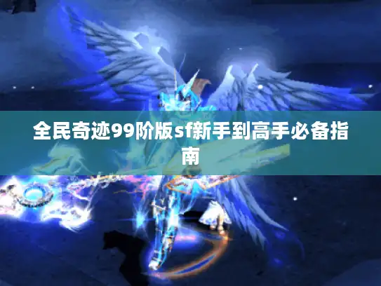 全民奇迹99阶版sf新手到高手必备指南