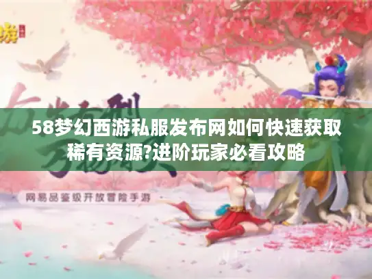 58梦幻西游私服发布网如何快速获取稀有资源?进阶玩家必看攻略