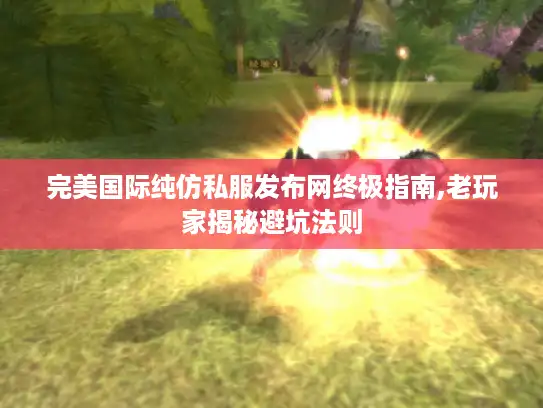 完美国际纯仿私服发布网终极指南,老玩家揭秘避坑法则