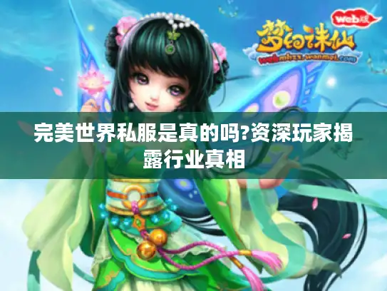 完美世界私服是真的吗?资深玩家揭露行业真相