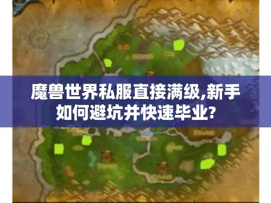 魔兽世界私服直接满级,新手如何避坑并快速毕业?