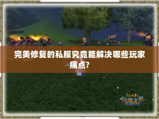 完美修复的私服究竟能解决哪些玩家痛点? 完美修复的私服究竟能解决哪些玩家痛点?