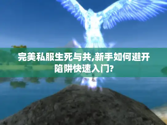 完美私服生死与共,新手如何避开陷阱快速入门?