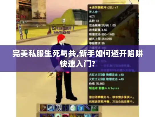 完美私服生死与共,新手如何避开陷阱快速入门?