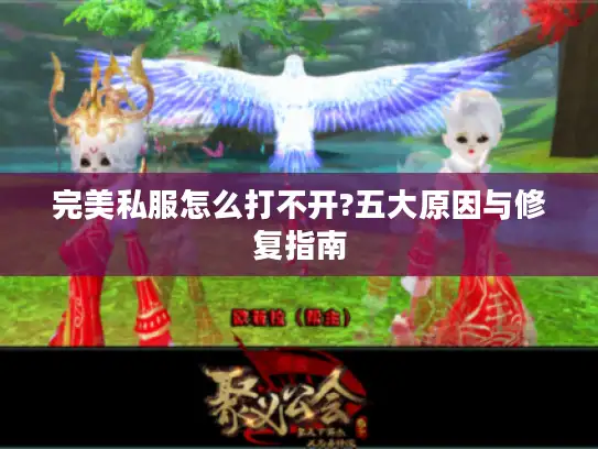 完美私服怎么打不开?五大原因与修复指南
