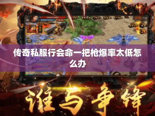 传奇私服行会命一把枪爆率太低怎么办