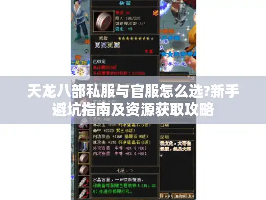 天龙八部私服与官服怎么选?新手避坑指南及资源获取攻略