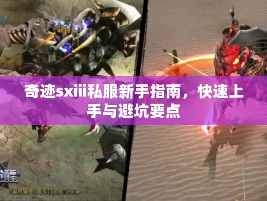 奇迹sxiii私服新手指南，快速上手与避坑要点