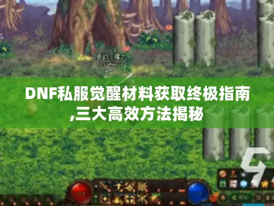 DNF私服觉醒材料获取终极指南,三大高效方法揭秘 DNF私服觉醒材料获取终极指南,三大高效方法揭秘