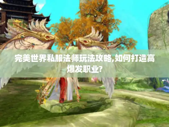 完美世界私服法师玩法攻略,如何打造高爆发职业?
