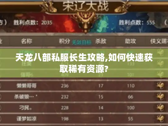 天龙八部私服长生攻略,如何快速获取稀有资源? 天龙八部私服长生攻略,如何快速获取稀有资源?