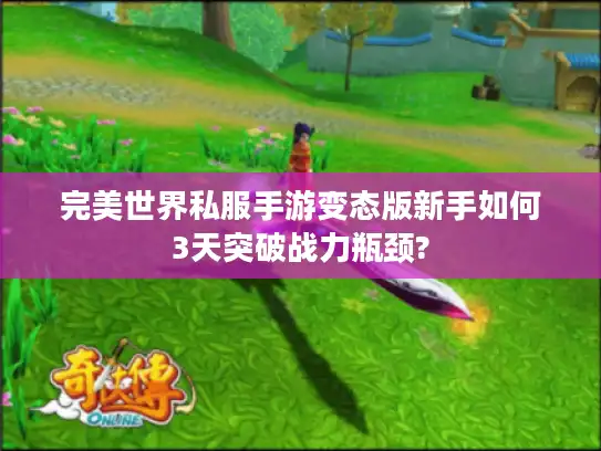 完美世界私服手游变态版新手如何3天突破战力瓶颈? 完美世界私服手游变态版新手如何3天突破战力瓶颈?