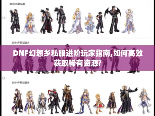 DNF幻想乡私服进阶玩家指南,如何高效获取稀有资源?