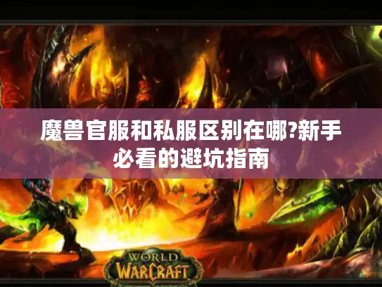 魔兽官服和私服区别在哪?新手必看的避坑指南