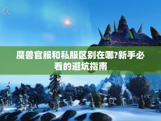 魔兽官服和私服区别在哪?新手必看的避坑指南