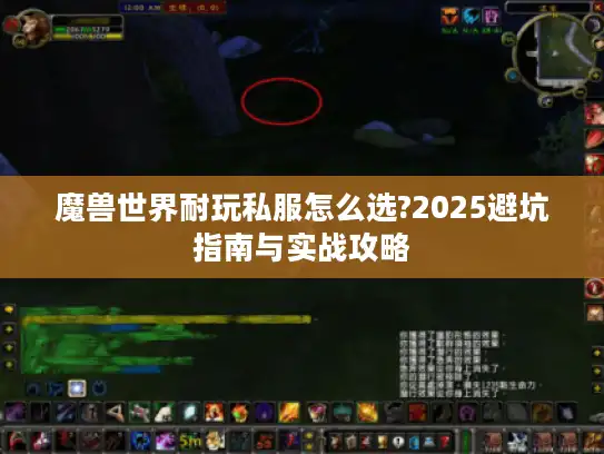 魔兽世界耐玩私服怎么选?2025避坑指南与实战攻略 魔兽世界耐玩私服怎么选?2025避坑指南与实战攻略