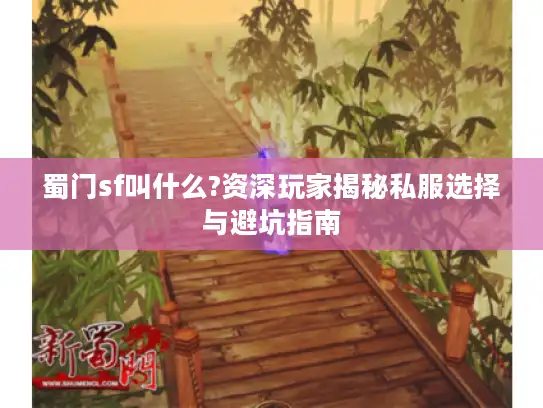 蜀门sf叫什么?资深玩家揭秘私服选择与避坑指南 蜀门sf叫什么?资深玩家揭秘私服选择与避坑指南