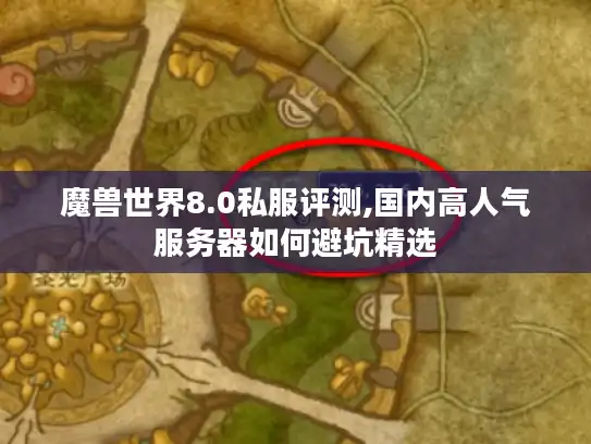 魔兽世界8.0私服评测,国内高人气服务器如何避坑精选