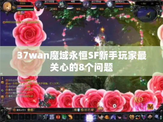 37wan魔域永恒SF新手玩家最关心的8个问题