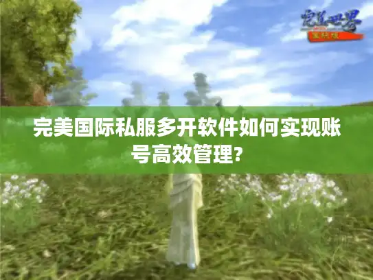 完美国际私服多开软件如何实现账号高效管理?