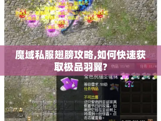 魔域私服翅膀攻略,如何快速获取极品羽翼?