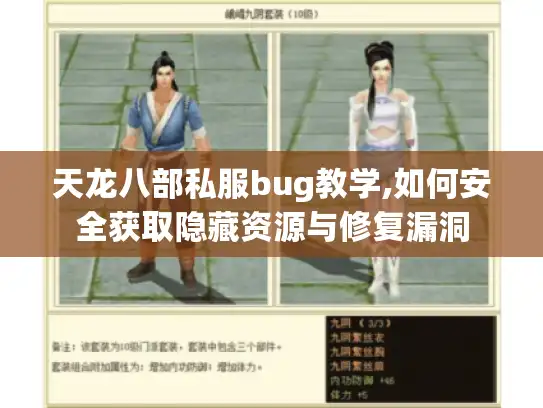天龙八部私服bug教学,如何安全获取隐藏资源与修复漏洞