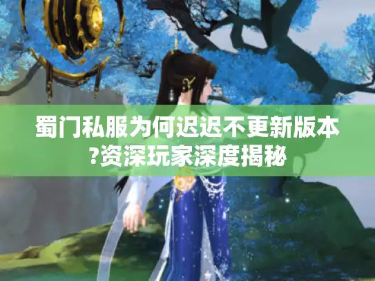 蜀门私服为何迟迟不更新版本?资深玩家深度揭秘
